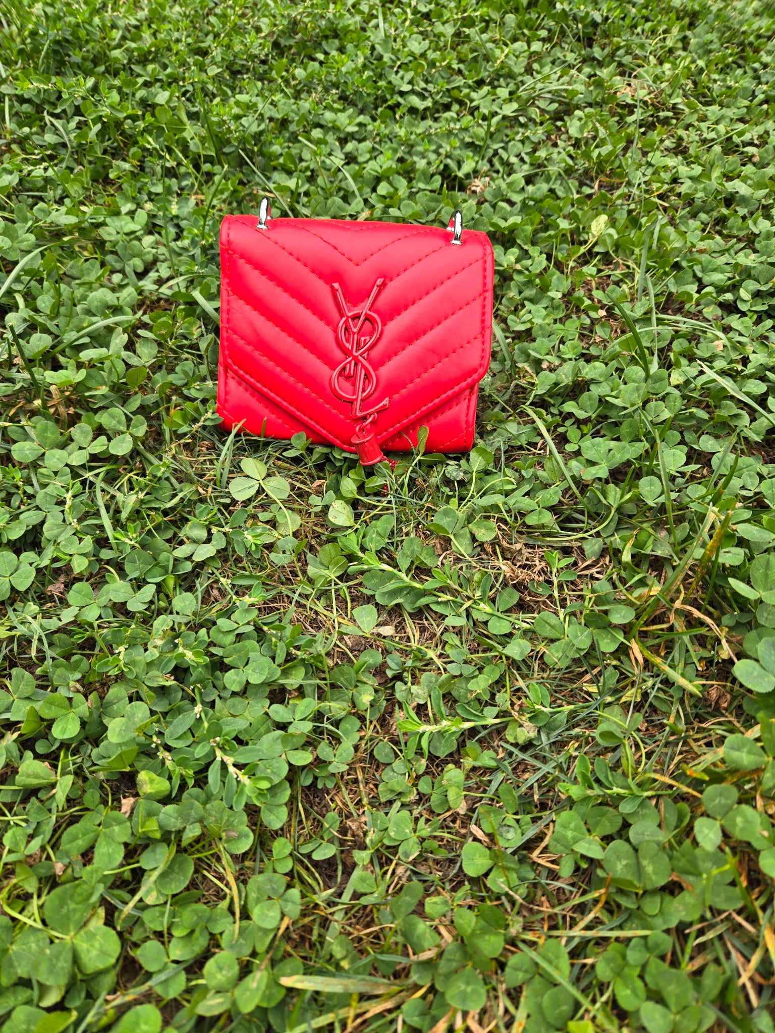 Young stylish handbags
